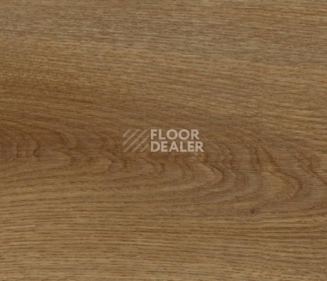 Кварцвиниловые полы FineFloor FF-1200 Strong 1255 Дуб Октопус фото 1 | FLOORDEALER